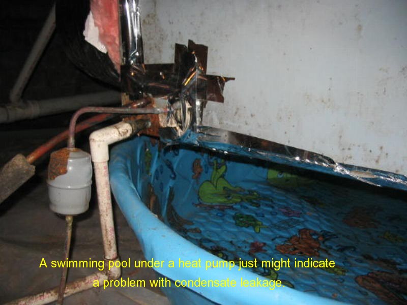 A Closer Look Home Inspection Charleston — foundation inspection photo 27